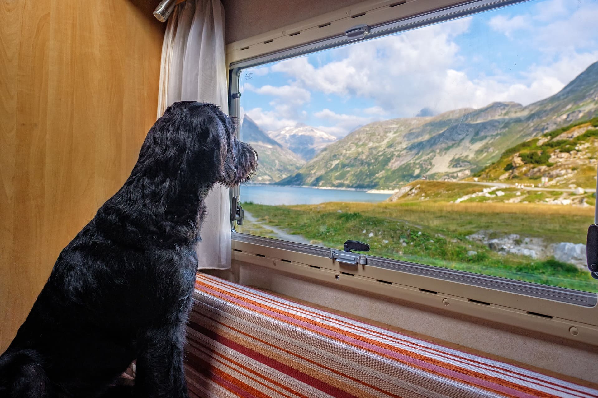 Sommerurlaub mit Hund – Teil 3 (Bahn, Bus, Flugzeug)